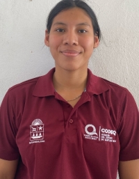 CHAVEZ MEDINA Ariadna Yarey