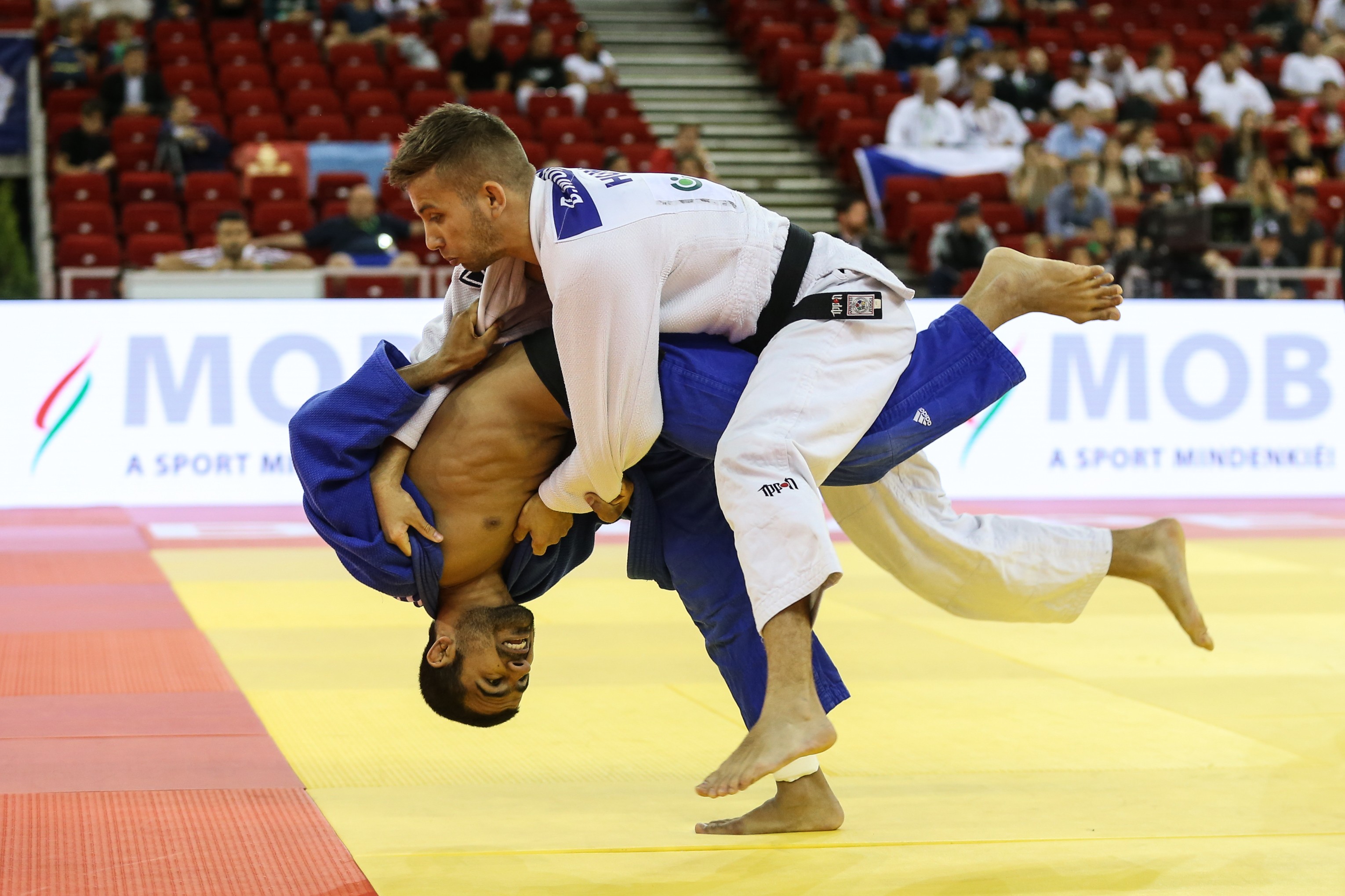 Бельгия дзюдо. Спинка с колен дзюдо. Дзюдо плечо. Бросок с колен дзюдо. Иппон сеой наге в дзюдо.