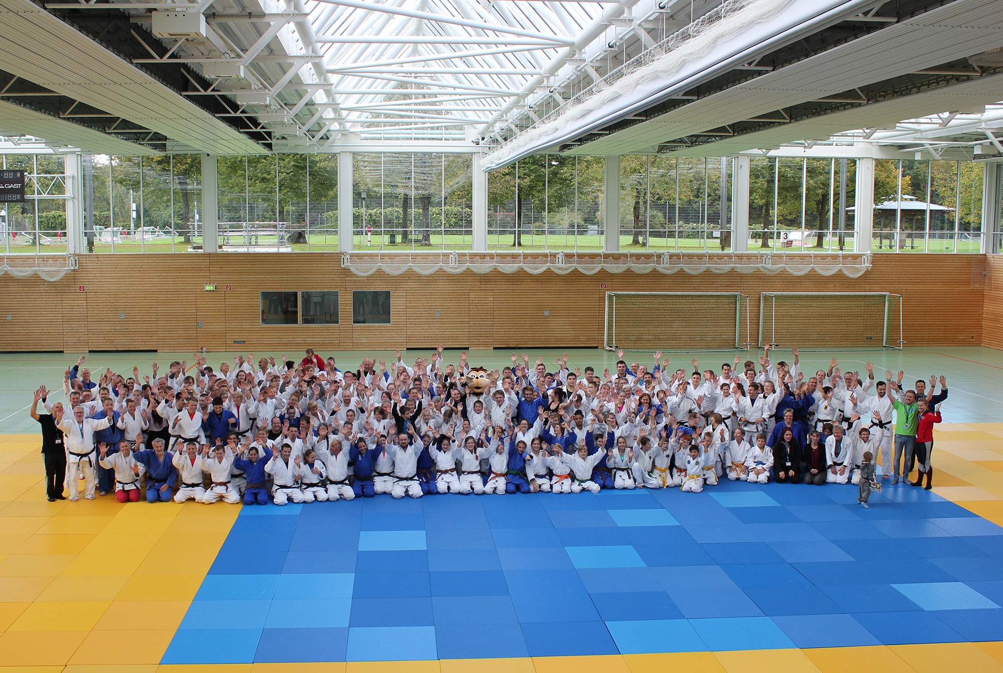 Variety on Display / IJF.org
