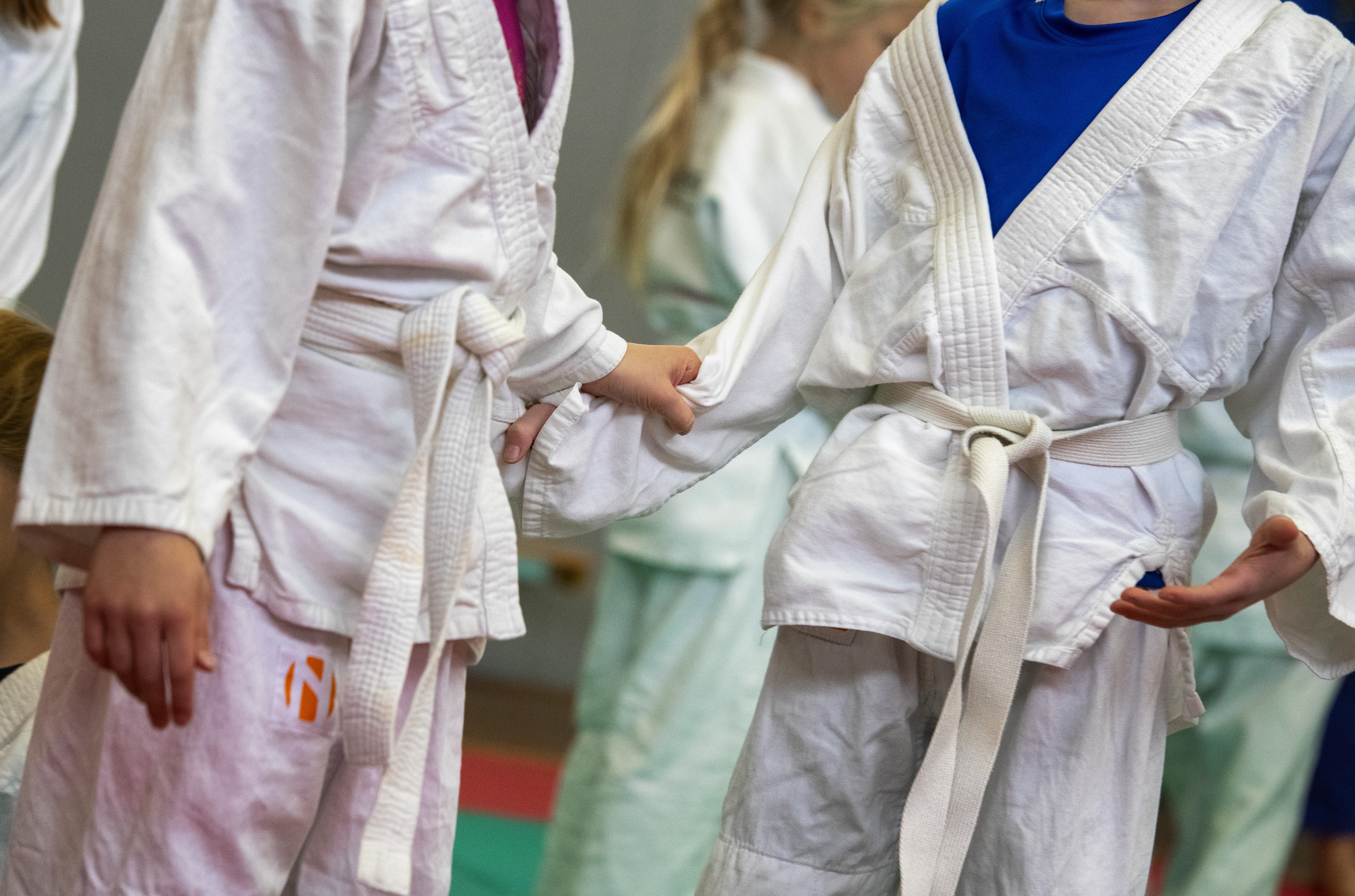 Judo in Schools and IJF Academy join Forces / IJF.org