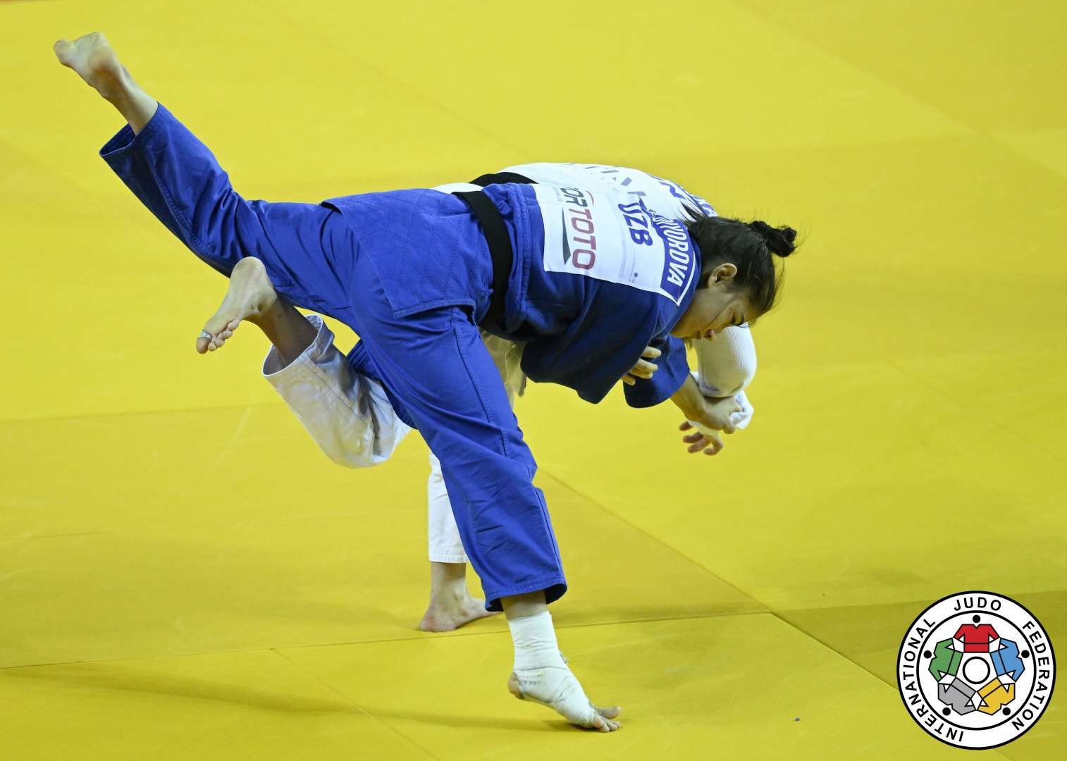 What We Have Seen / IJF.org