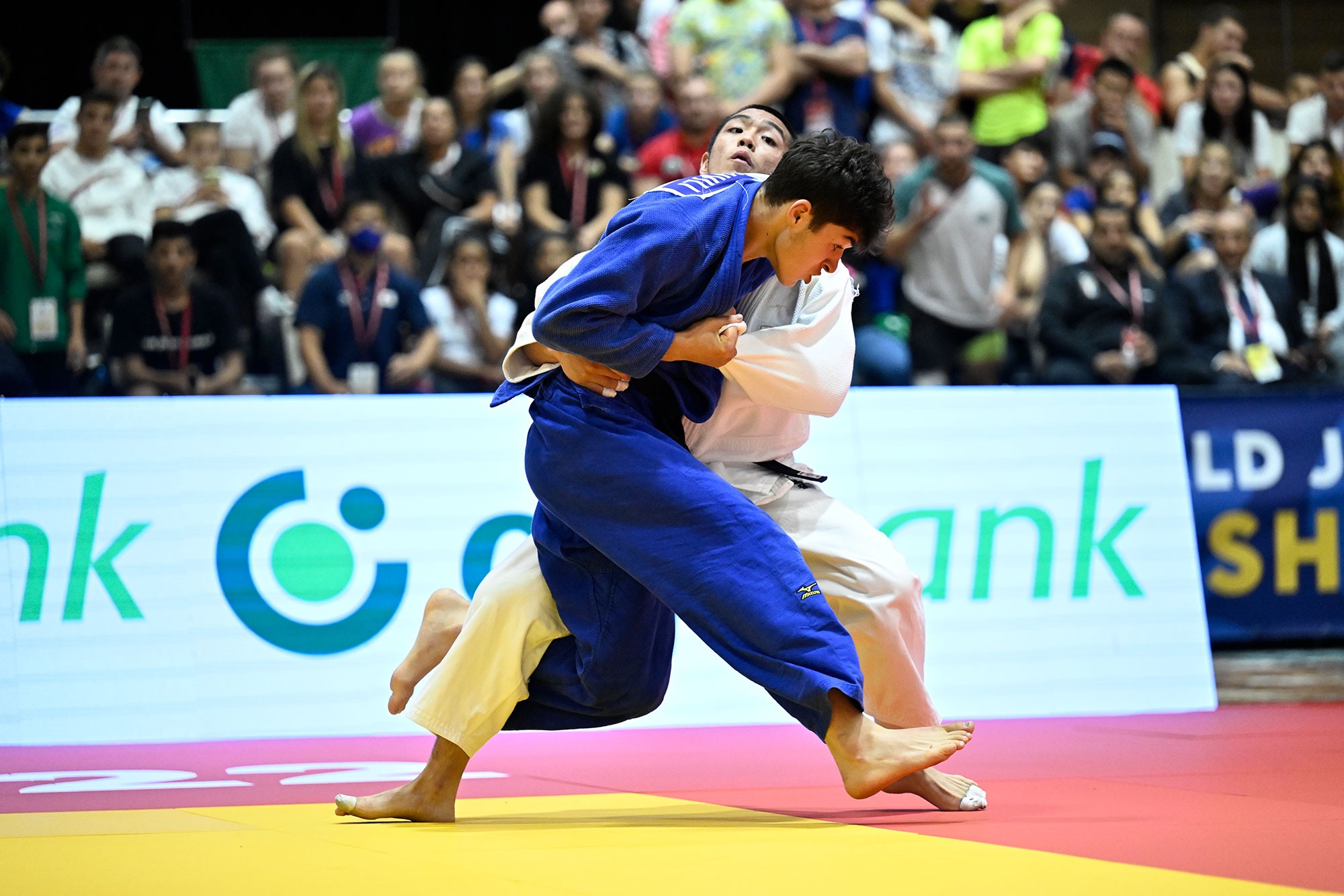 Kichkina qizlar porno videolar