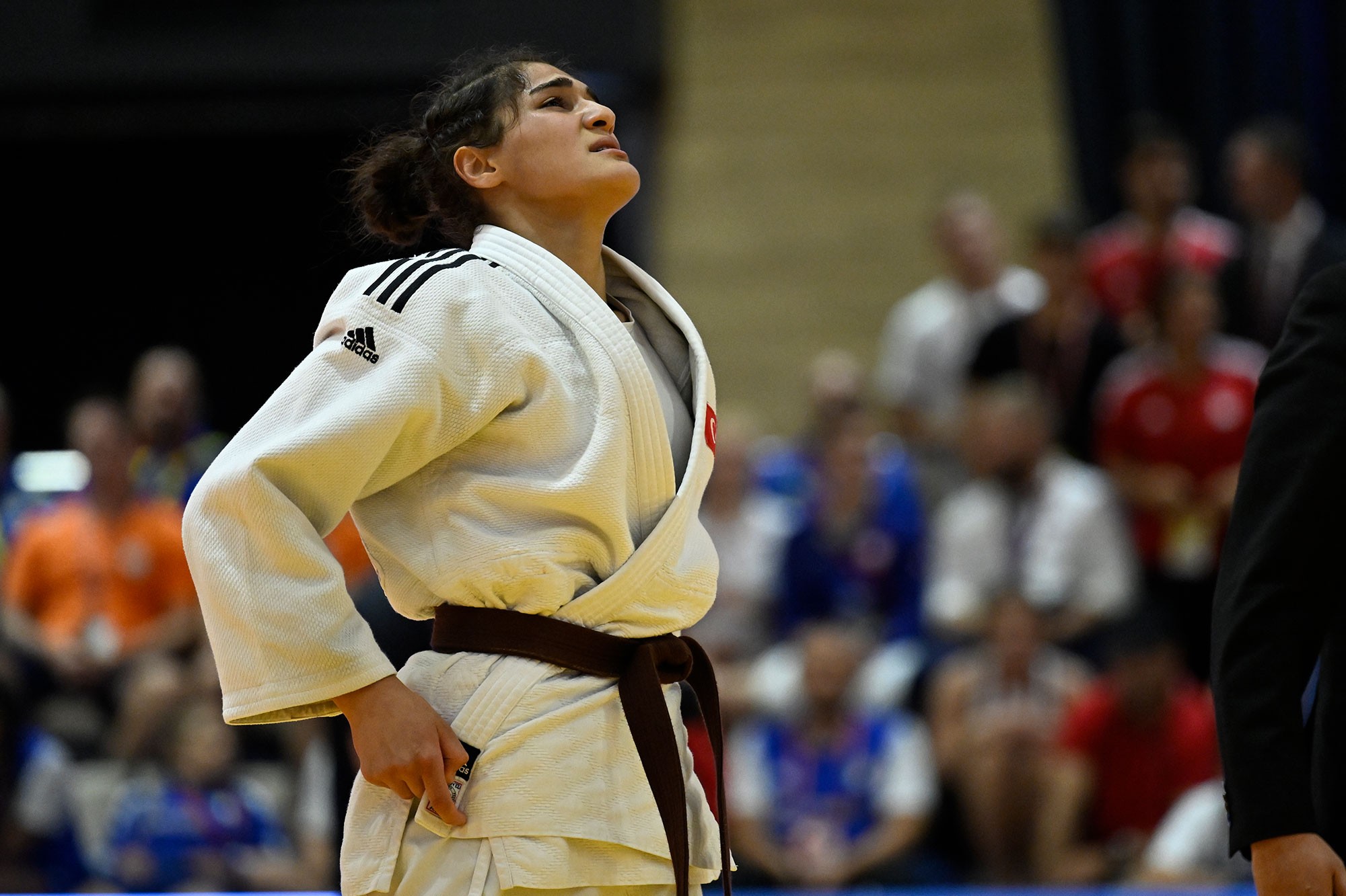 Ogildagi jinsiy aloqa onaning ustida turdi