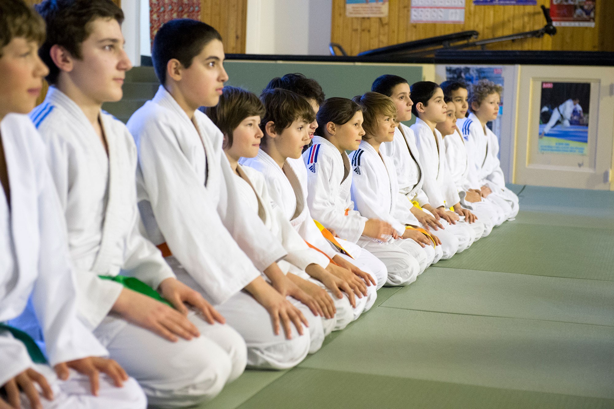 What We All Need Is Judo /