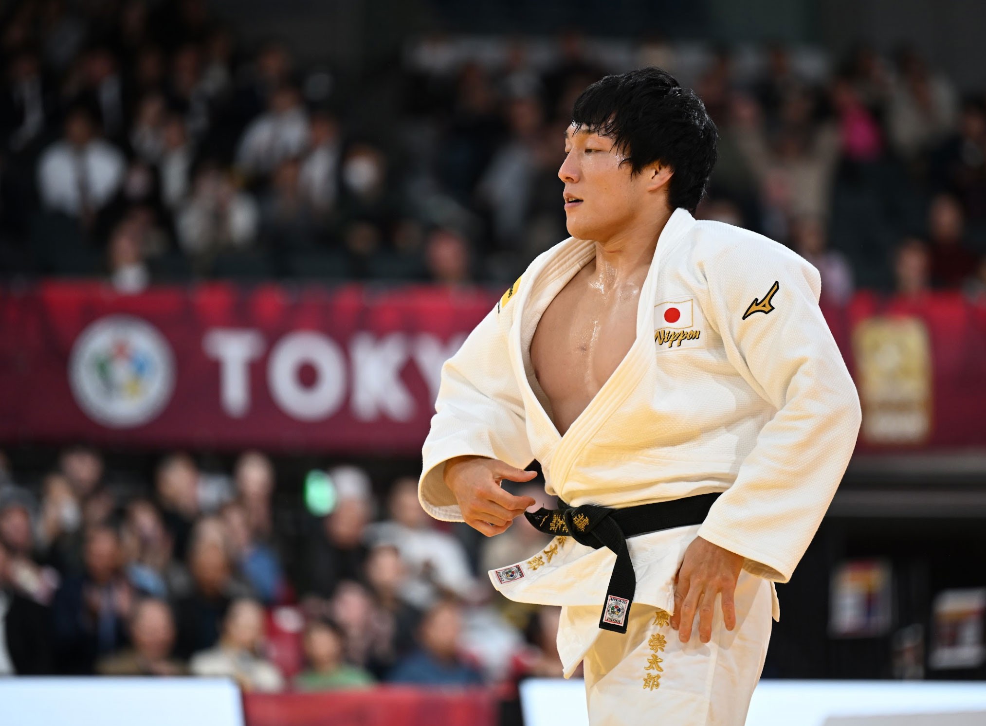 81 kg: Fujiwara Opens the Score / IJF.org