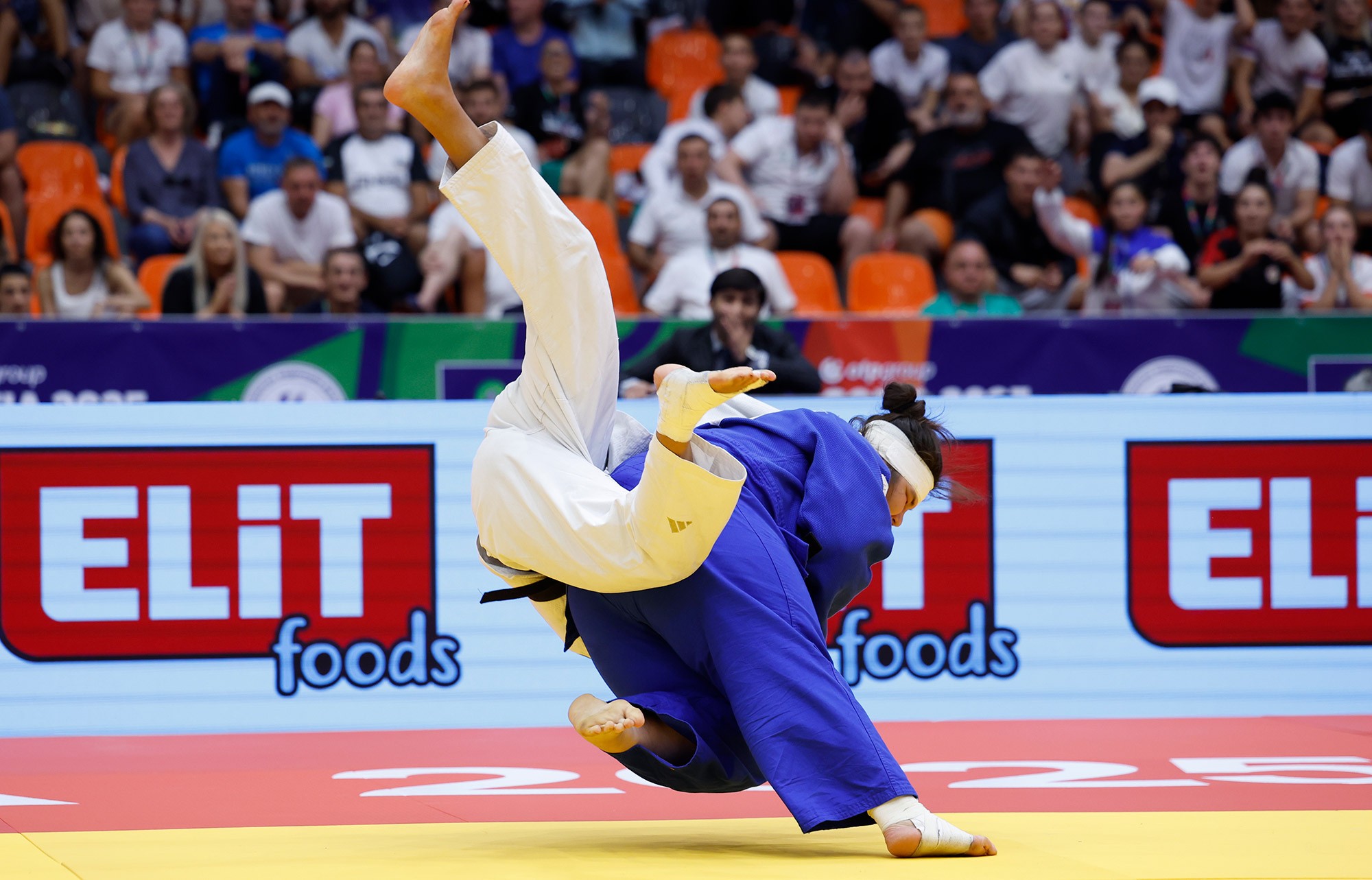 +70 kg: Nigmatova Powers Through to Uzbekistan’s Fifth Title