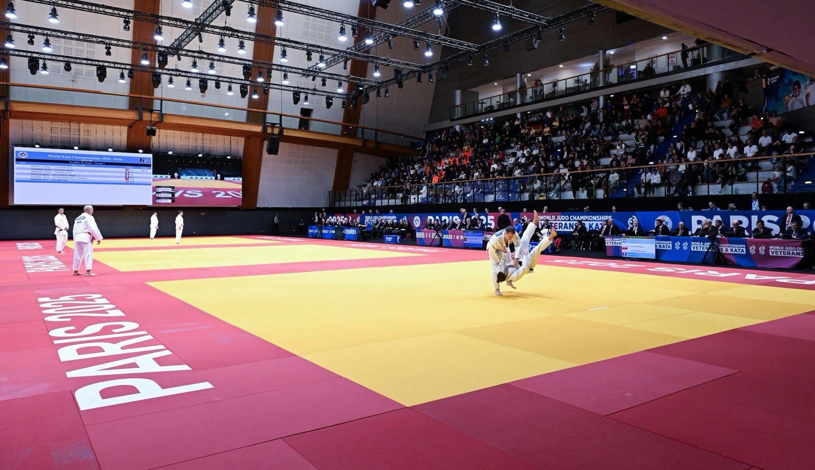 A Three-Tier Vision for a Broader Judo Experience