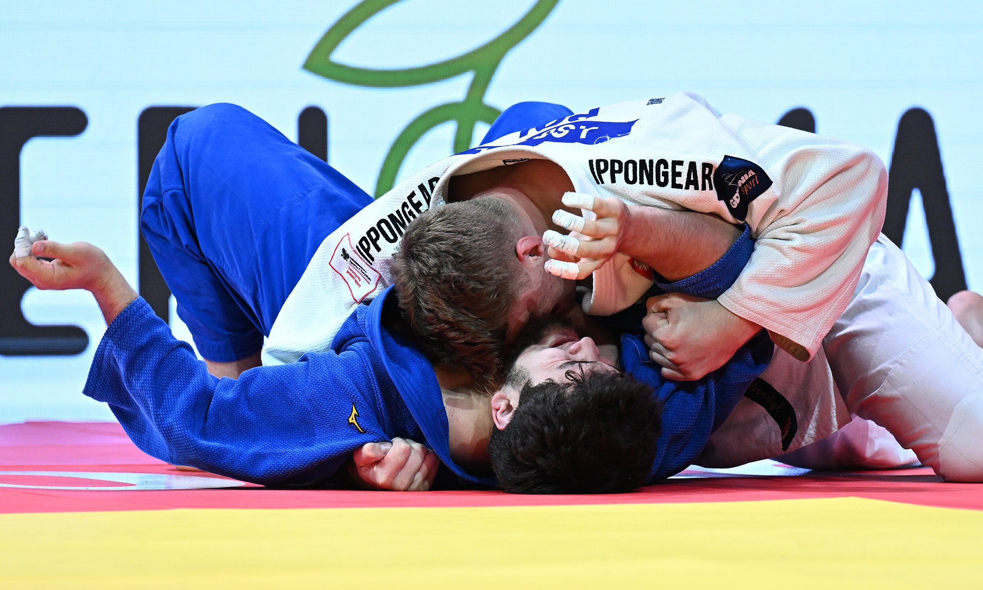 +100 kg: Sordyl Surprises Seasoned Stars