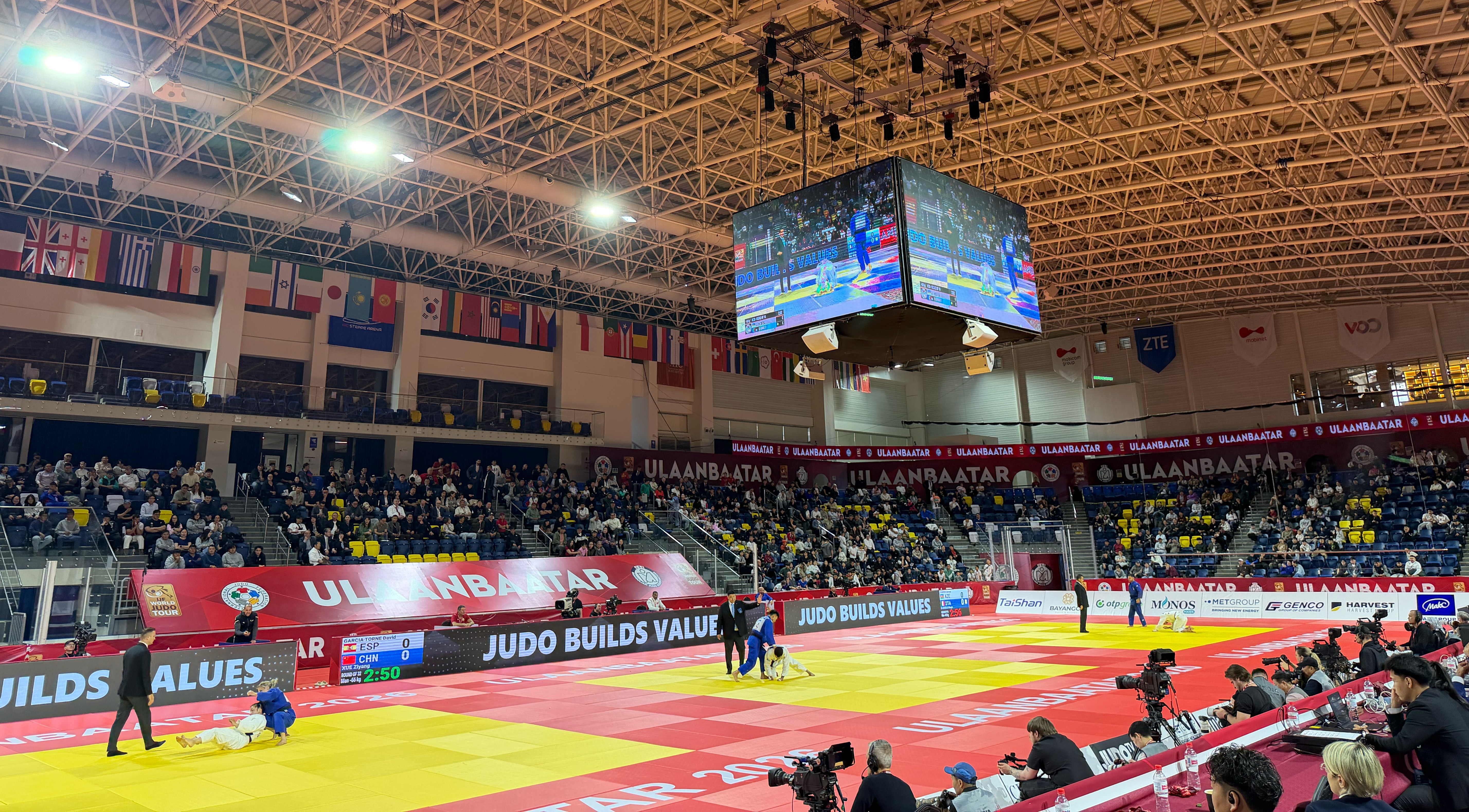 The Art of Qualification: Two Years to Reach the Olympic Games